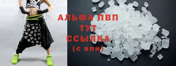 ECSTASY Алзамай