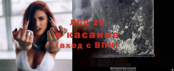 ECSTASY Алзамай