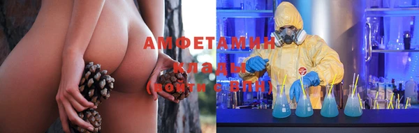 ECSTASY Алзамай