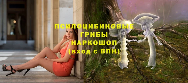 метамфетамин Алексеевка