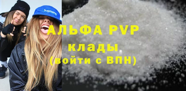 ECSTASY Алзамай